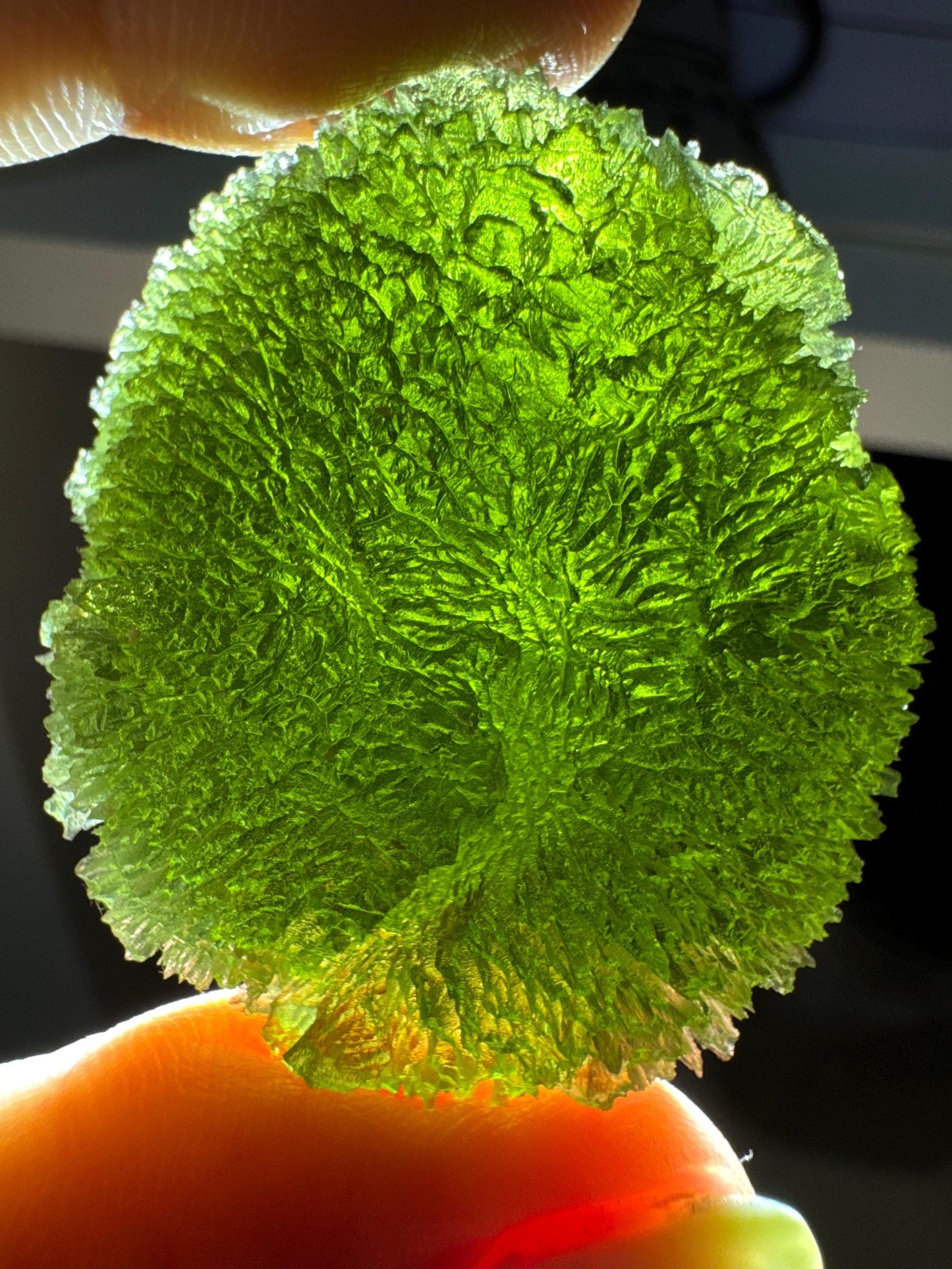 35.10g Krasejovka Moldavite, Collector Grade, compact shape