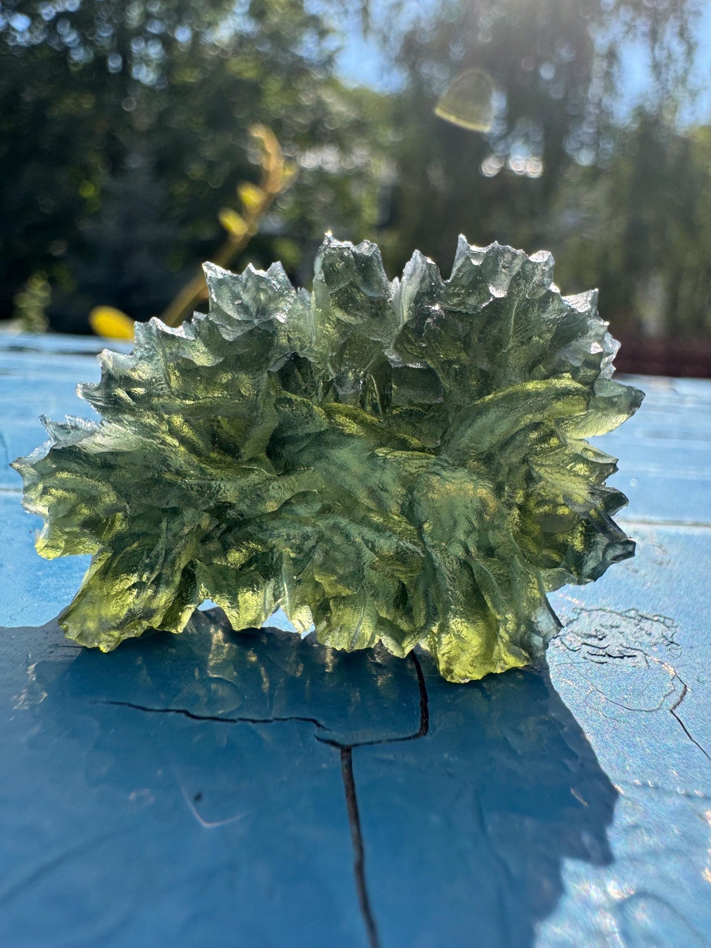 9.19g Authentic Moldavite besednice Jezkovna hedgehog texture rare
