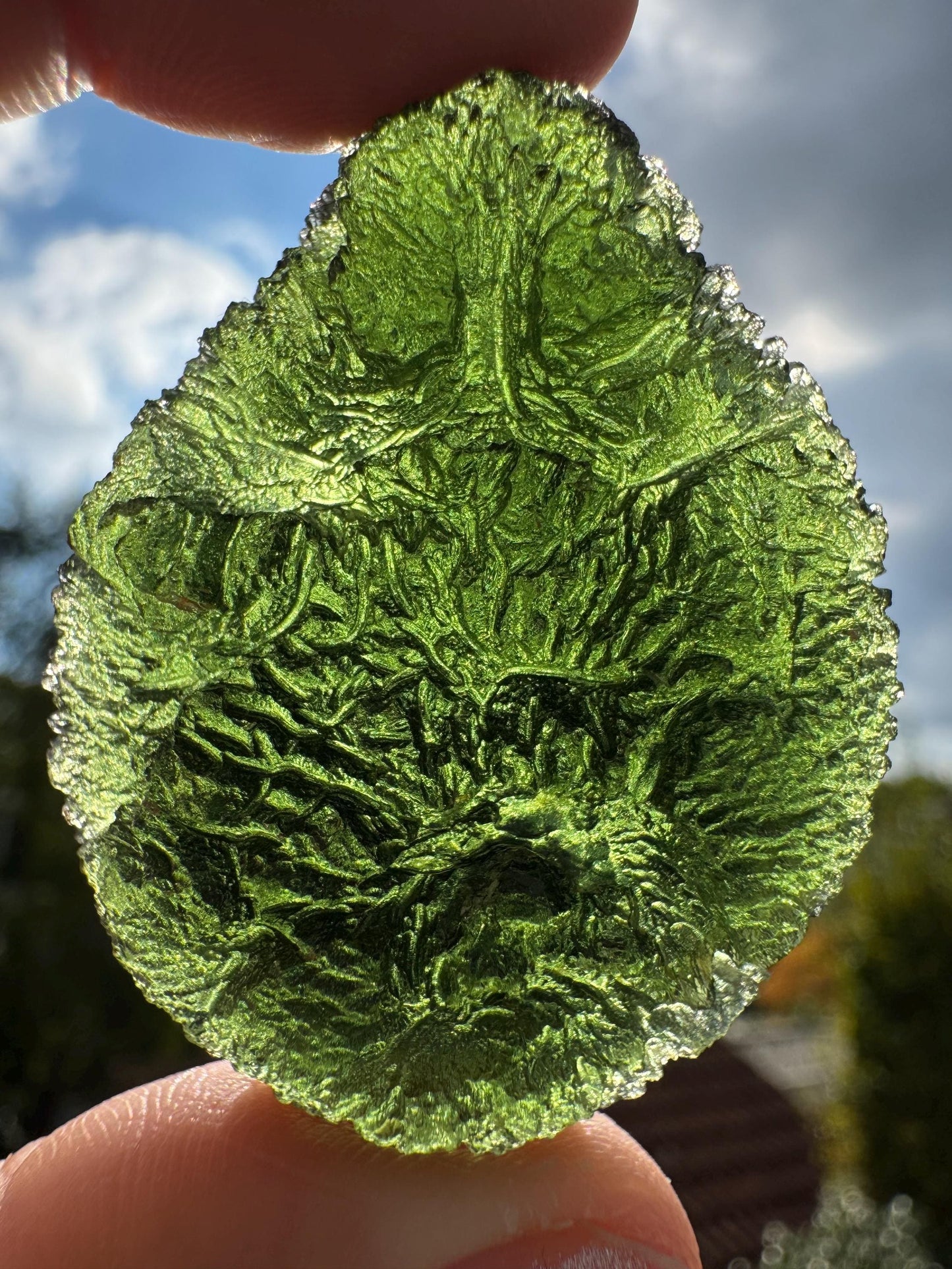 25.28g  Moldavite Crystal: Green Maly Chlum Collector Piece