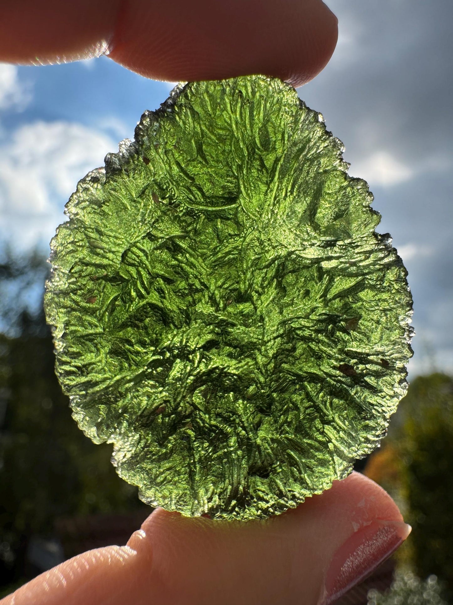 25.28g  Moldavite Crystal: Green Maly Chlum Collector Piece