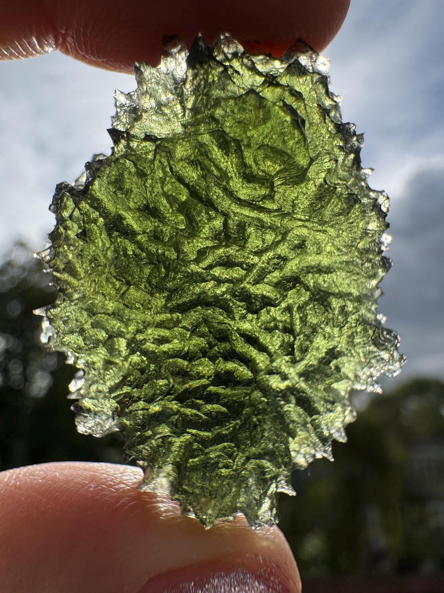 Vrabče Crater Moldavite: 14.62g Rare Olive-Green Tektite