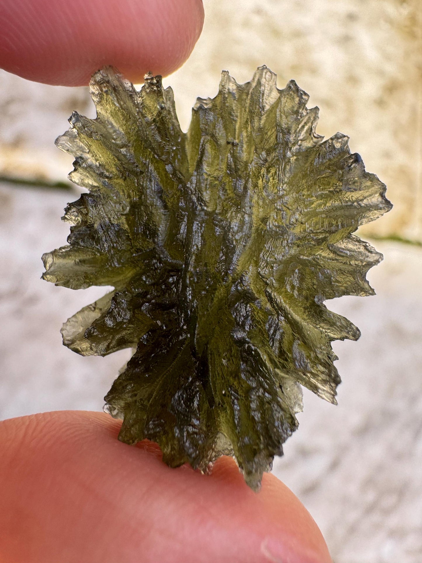 Museum Grade Besednice Moldavite: Czech Republic Crystal (4.62g)