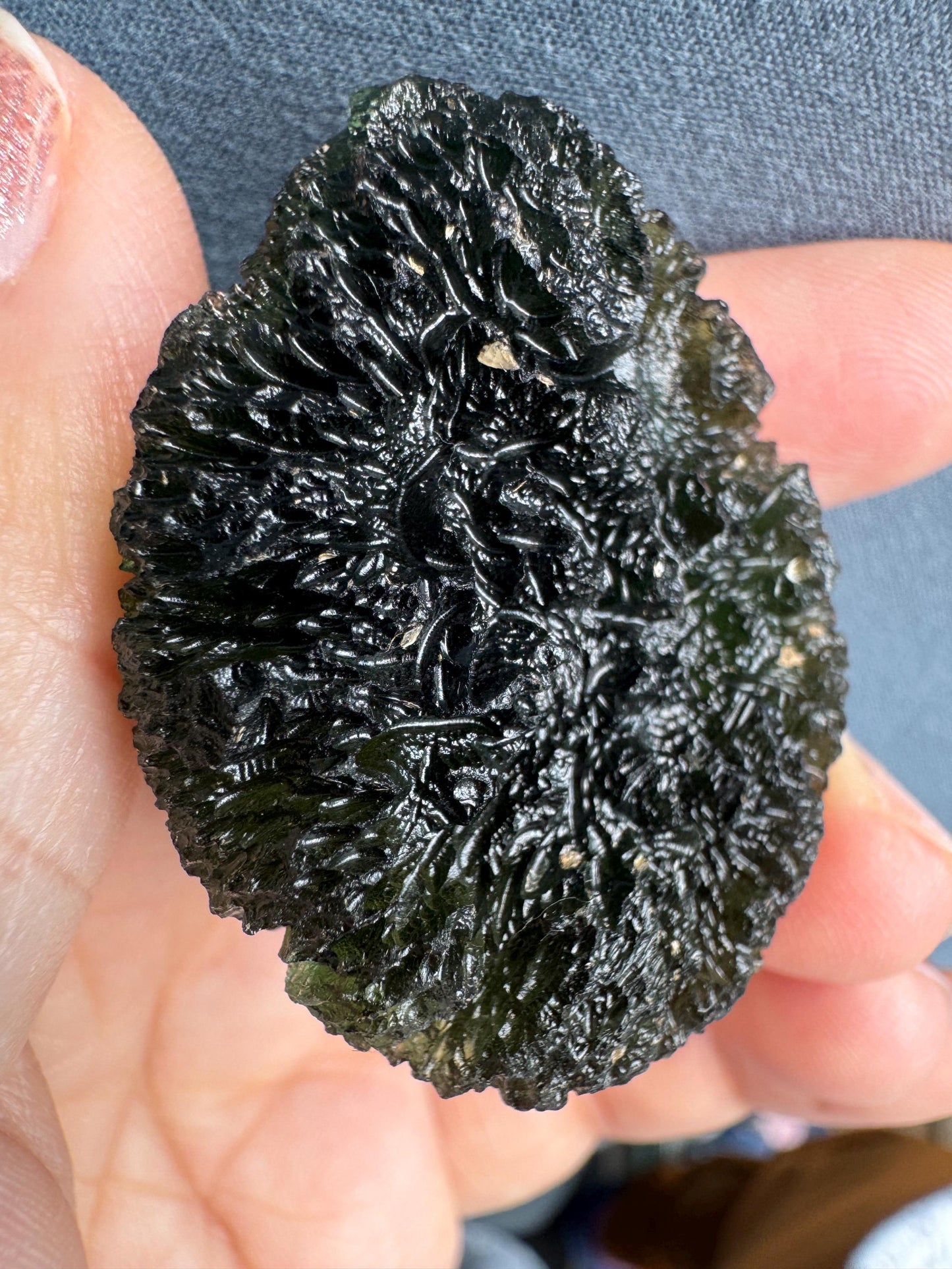 25.28g  Moldavite Crystal: Green Maly Chlum Collector Piece