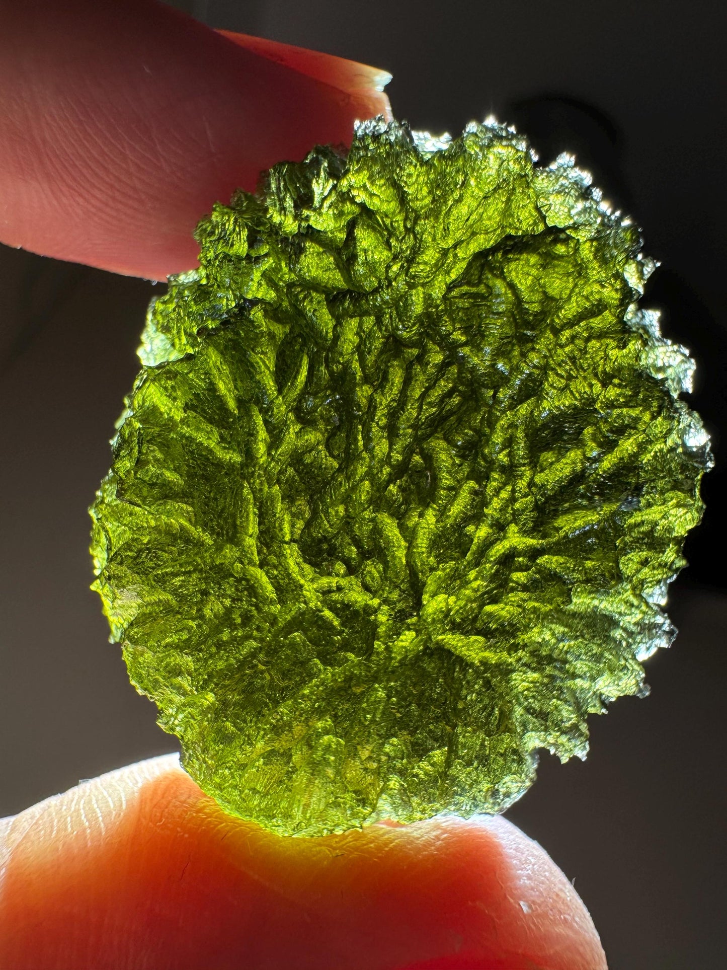 21.06g Moldavite Maly Chlum no damages, AAA quality disc shape rare location