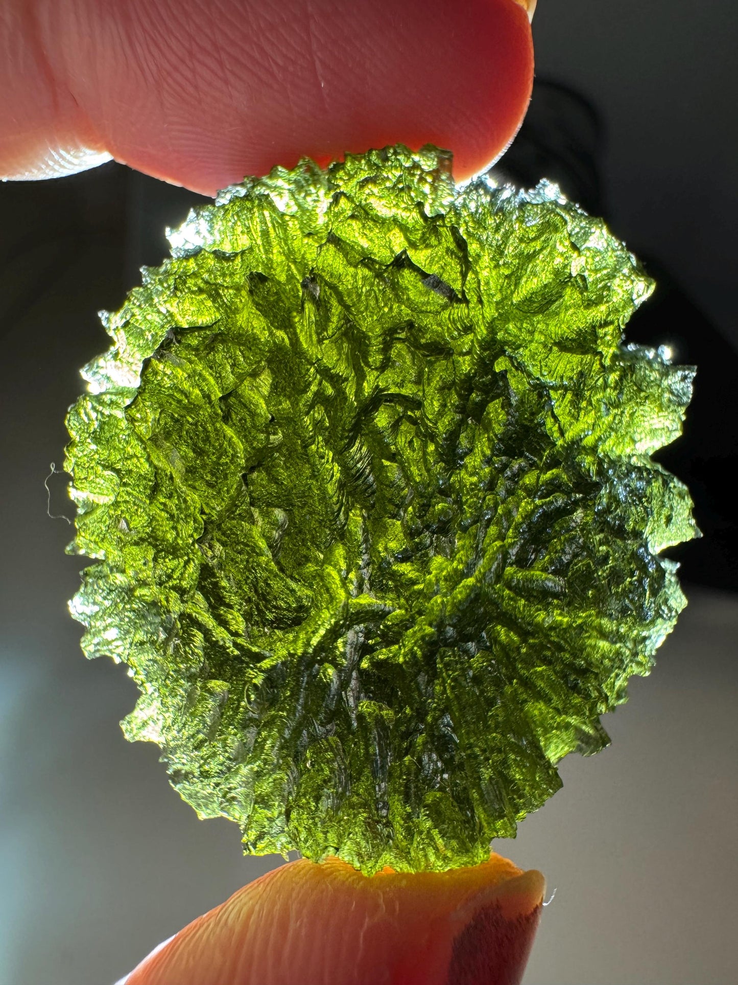 21.06g Moldavite Maly Chlum no damages, AAA quality disc shape rare location