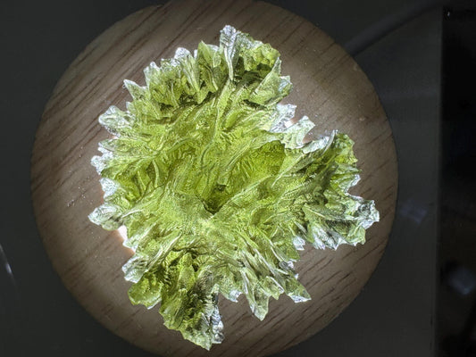 14.20g  Moldavite Besednice Jezkovna Crystal: Collector Grade