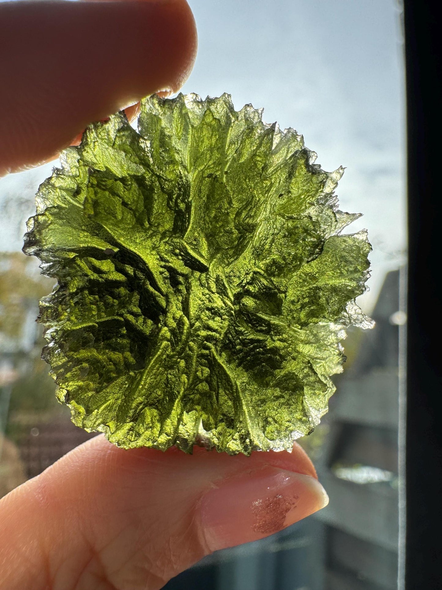 Moldavite Besednice Jezkovna 20.16g hedgehog super rare size rare location AAAAA