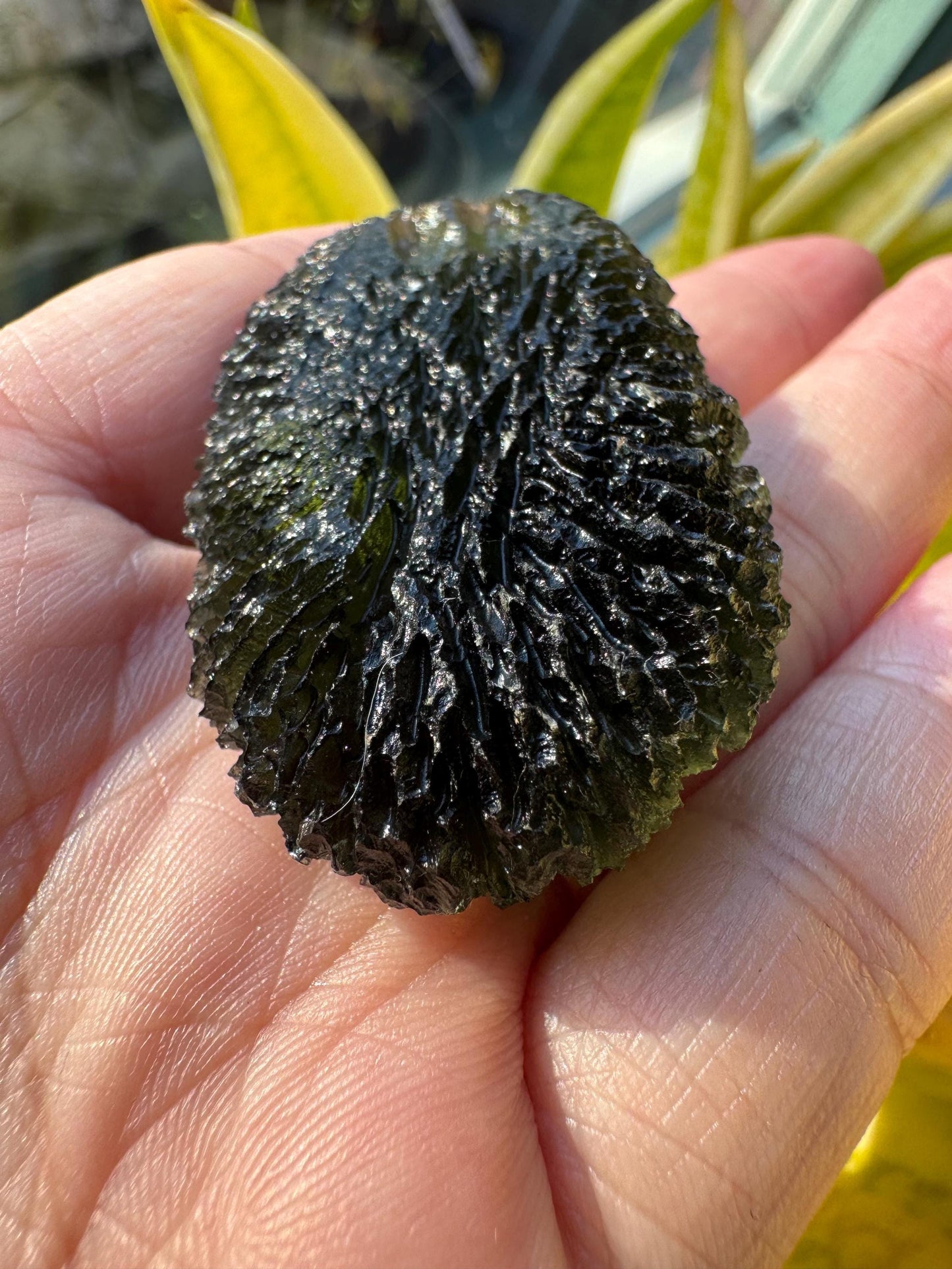 21,85g Authentic Marousek Moldavite, Czech Republic collector quality
