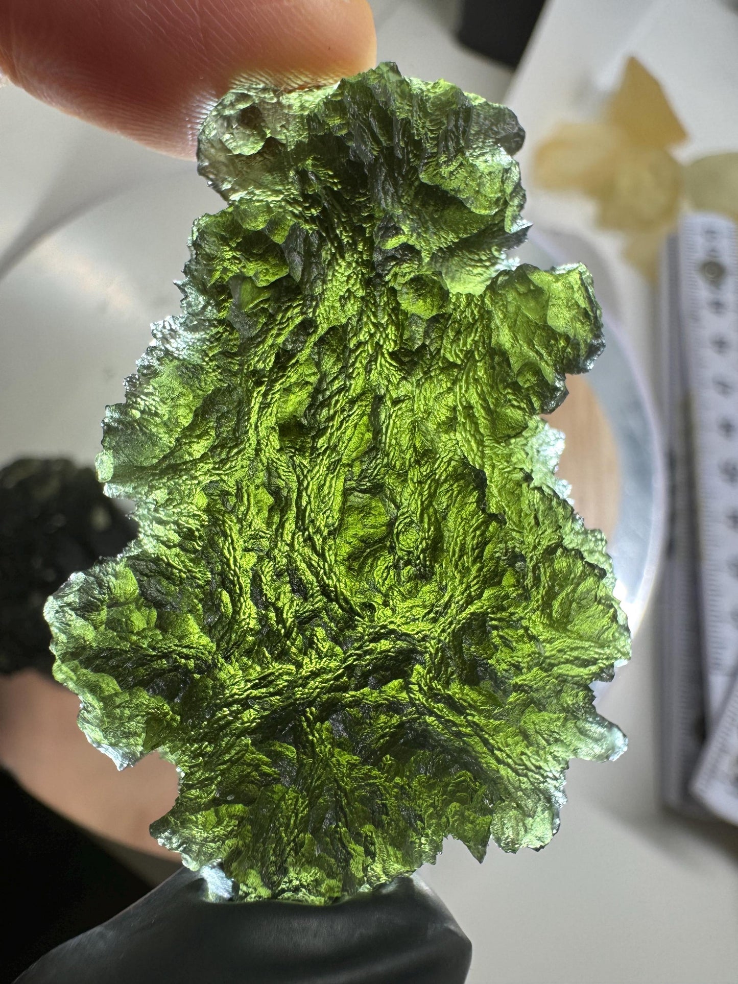 20.33g Chlum Moldavite: Green Collector Piece