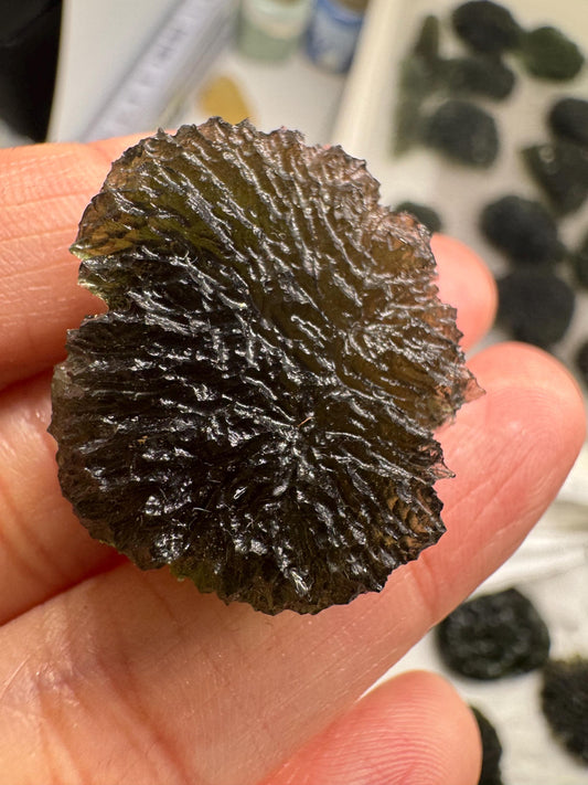 10.10g Moldavite Specimen: Nesmen les forest  Czech Republic
