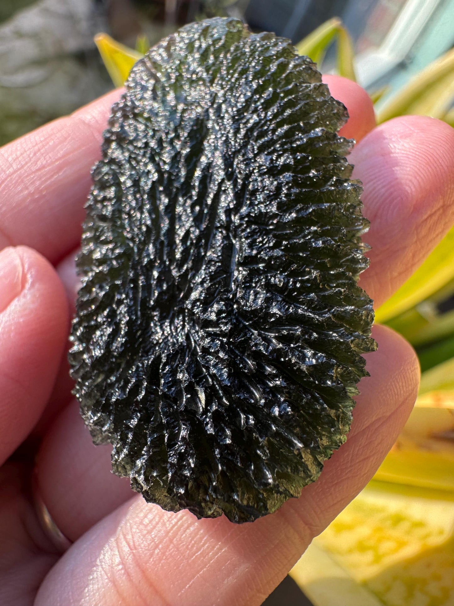 21,85g Authentic Marousek Moldavite, Czech Republic collector quality