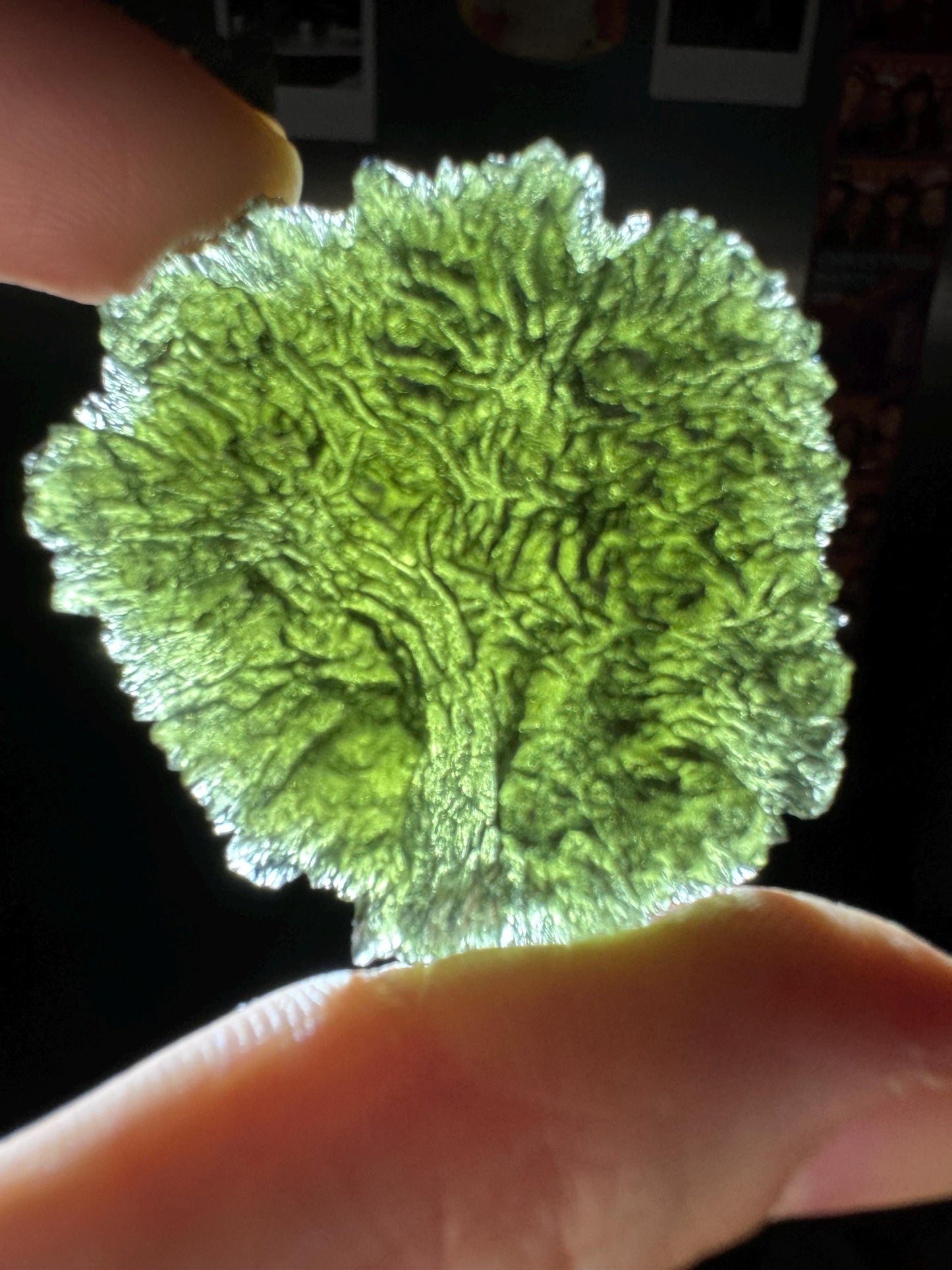 23.18 g Maly chlum with 2 inner gas bubble rare in print tree of life
