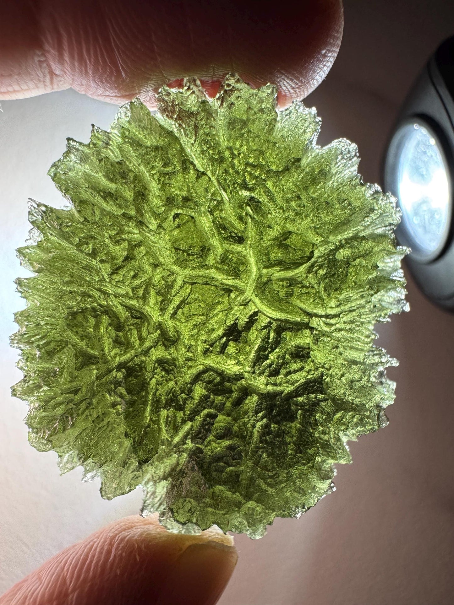 15.57g Moldavite Maly Chlum no damages, AAA quality disc shape rare location