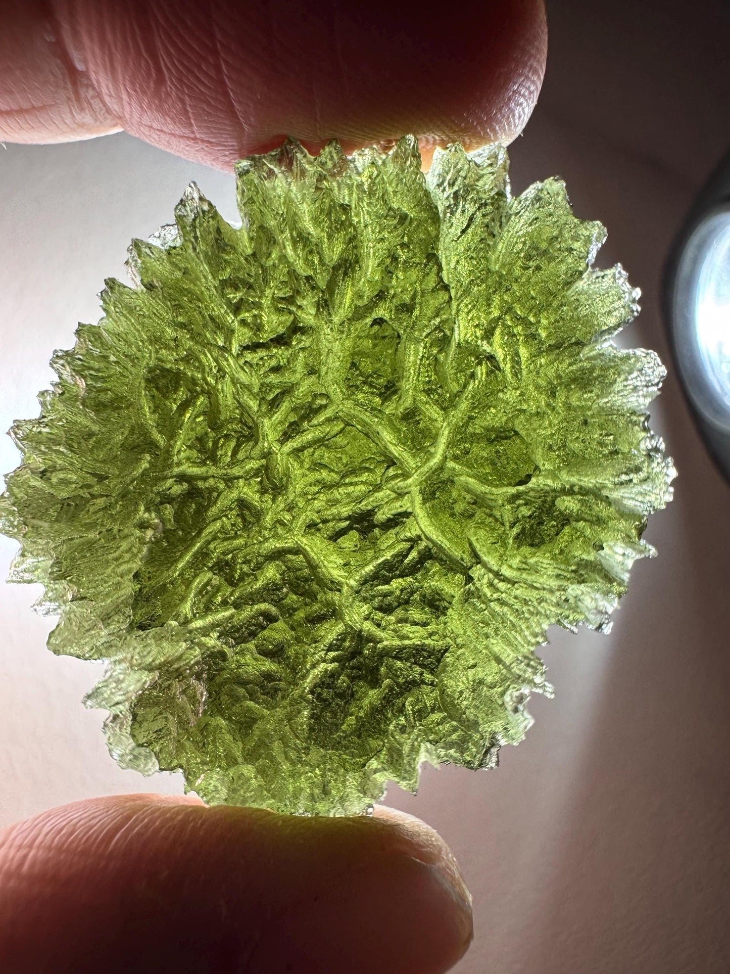 15.57g Moldavite Maly Chlum no damages, AAA quality disc shape rare location