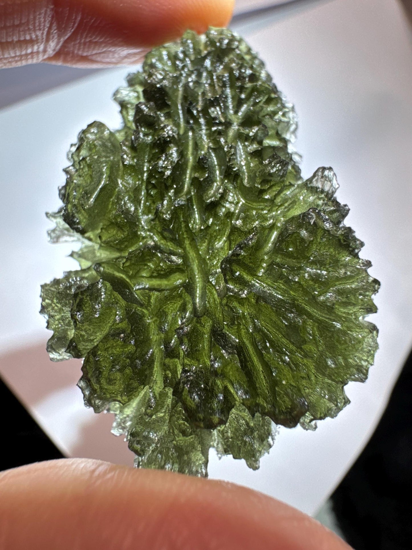 15.84g Paryz moldavite drop museum grade AAA super rare