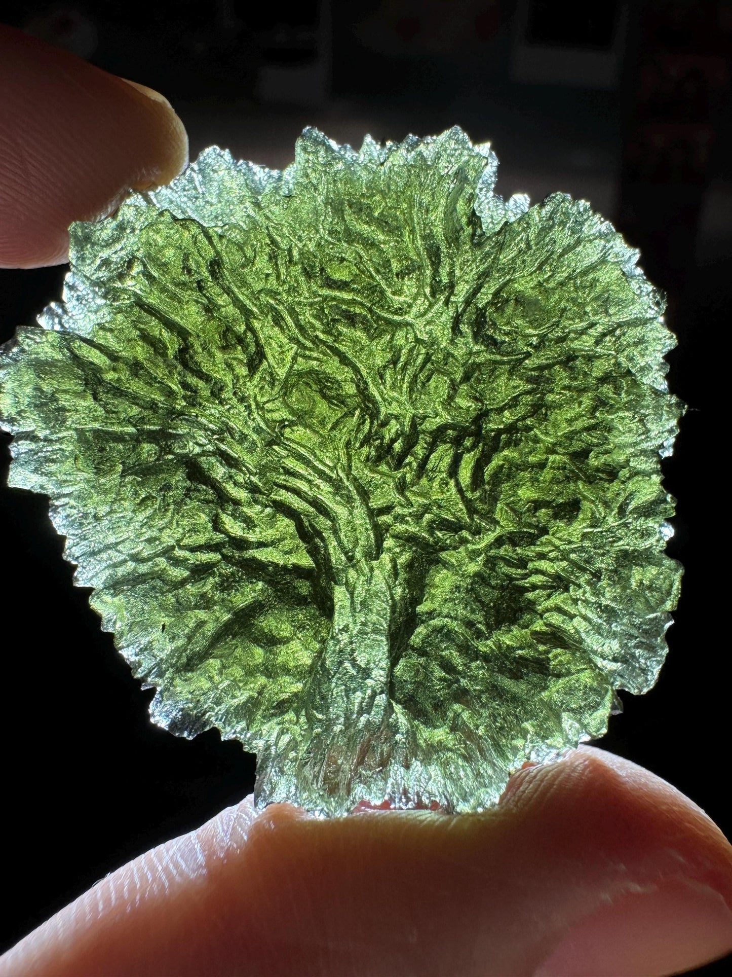 23.18 g Maly chlum with 2 inner gas bubble rare in print tree of life