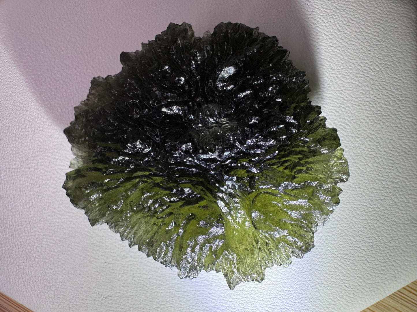 23.18 g Maly chlum with 2 inner gas bubble rare in print tree of life
