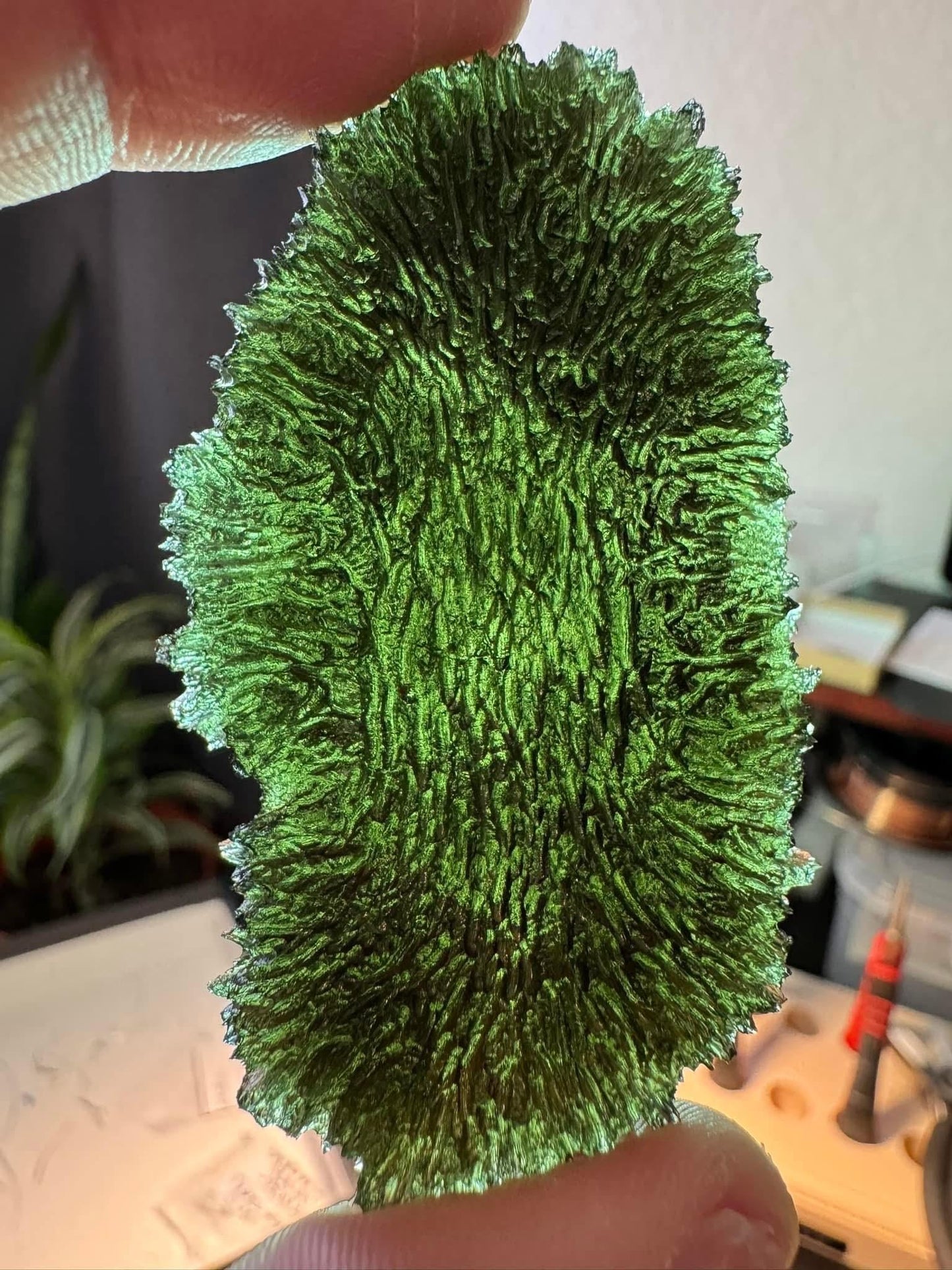 37.06g  Moldavite Maly Chlum no damages, AAA quality spiky texture very extreme rare for the size and location