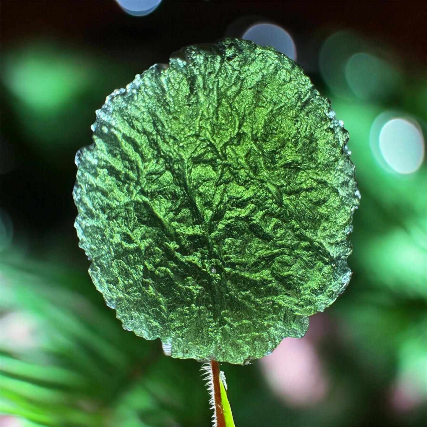 Moldavite Silazka 15.10g compact shape  nice green