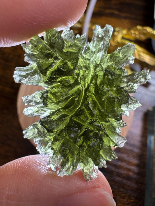 11.78g  Moldavite Besednice Jezkovna very rare, headhoge