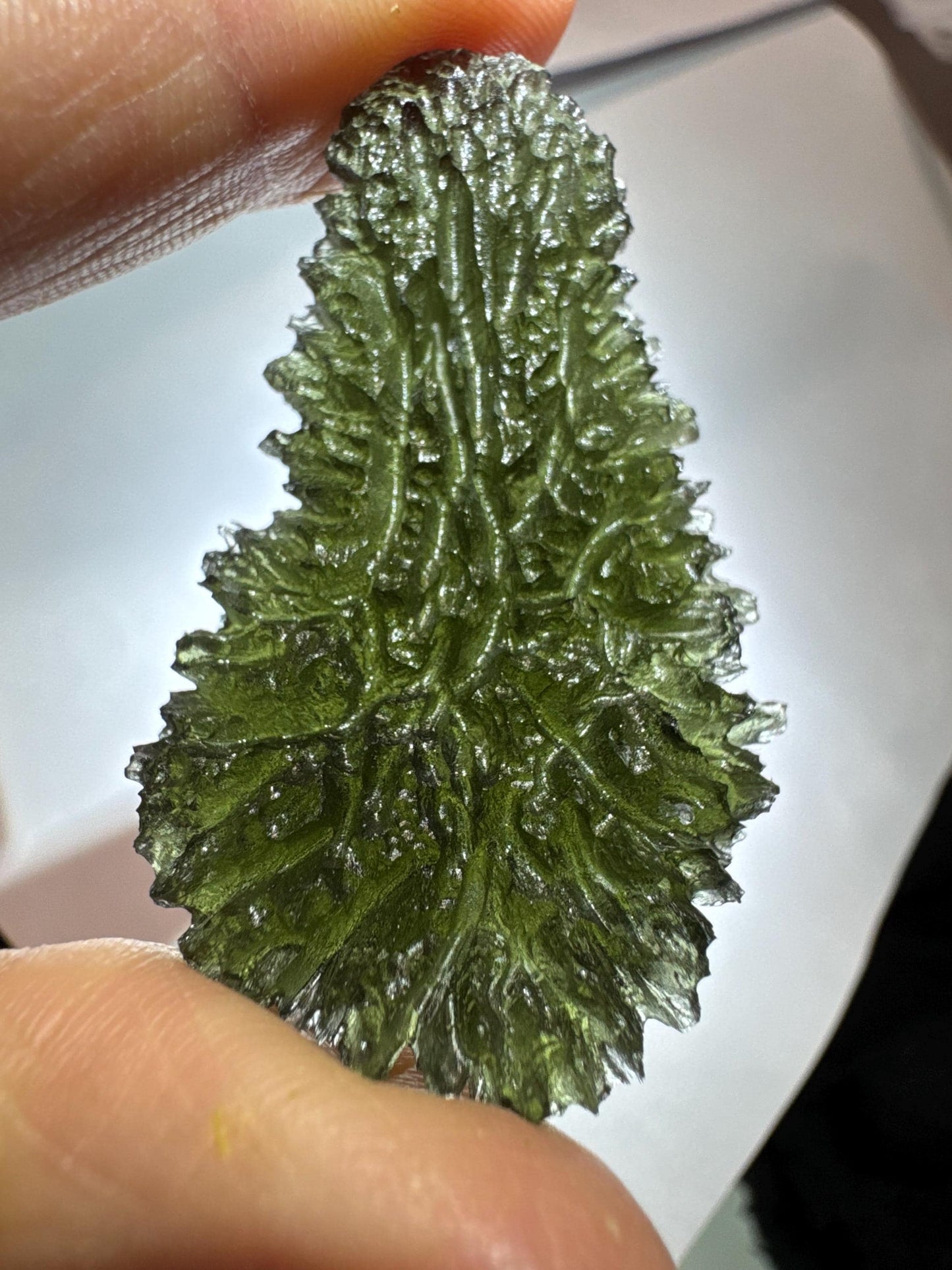 15.84g Paryz moldavite drop museum grade AAA super rare
