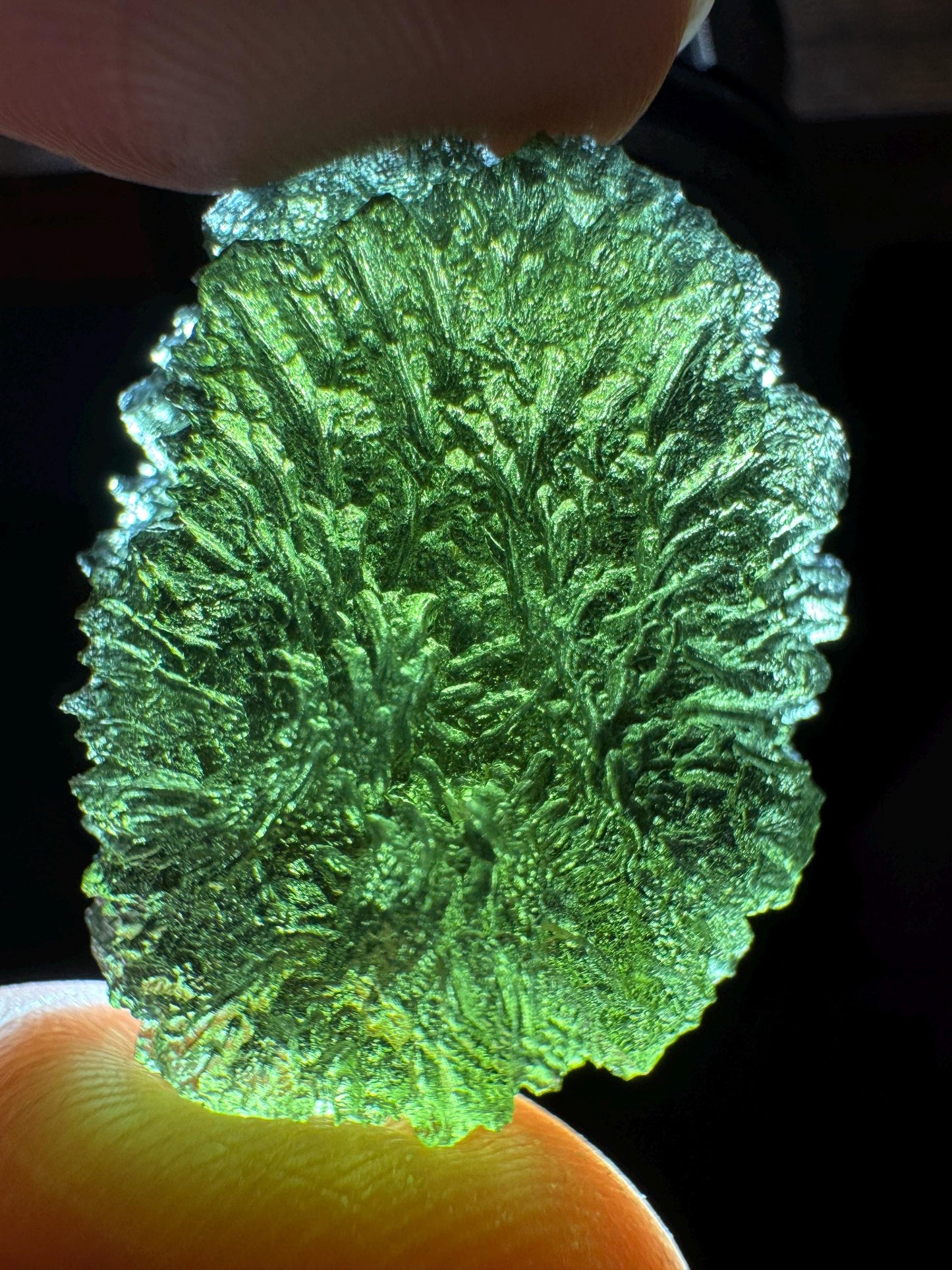 Authentic Moldavite Crystal: 9.41g, Nesmen Les Jimka Republic