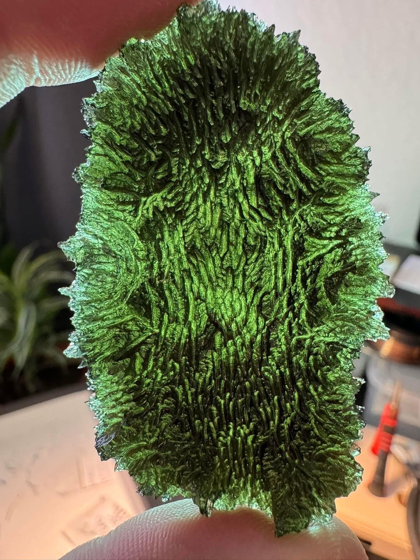37.06g  Moldavite Maly Chlum no damages, AAA quality spiky texture very extreme rare for the size and location